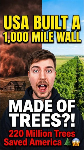 Why Did the US Build a 1,000 Mile Wall? #shorts #didyouknow #usa #facts #hiddenhistory