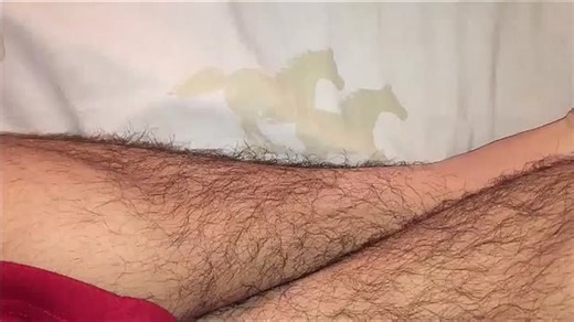 My Barney VHS_DVD Collection (2018 Edition)(480P).mp4