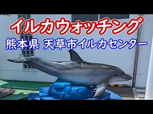 イルカウォッチング 熊本県天草市五和町 天草市イルカセンター
