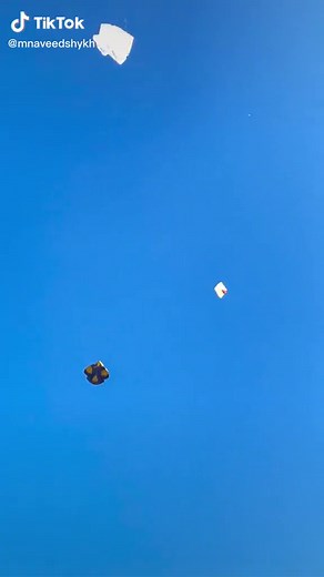 Balloons Floating Under a Clear Blue Sky