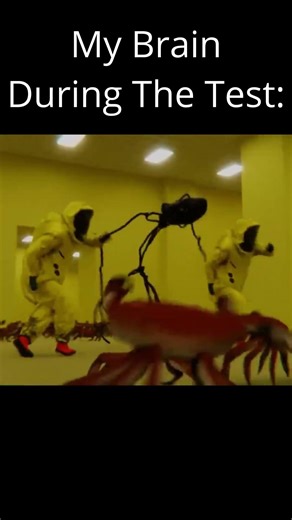 The Test Be Like: #backrooms
