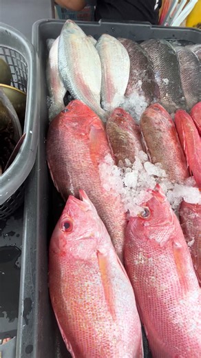 Ikan Setan Merah dan Sup Ikan Merah yang Lezat