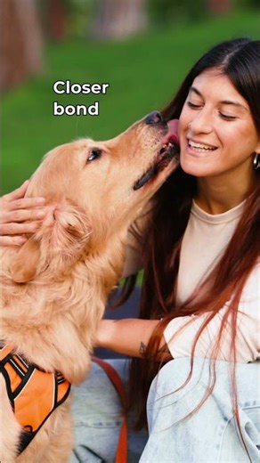 Golden vs Lab: Best First Dog?