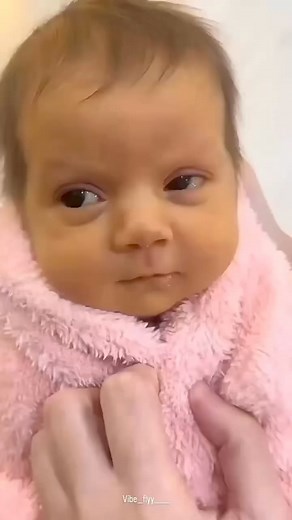 Jdid Rai/جديد راي on Reels