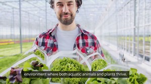 Aquaponic Gardening Systems Explained