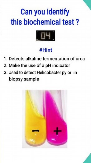 Quiz-5 | Biochemical test for identification of bacteria| #shorts #microbiology