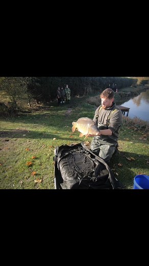 New arrivals @ Sycamore Lakes #ajsfisheries #everyone #ukcarp #ukcarpfishing🇬🇧 # | Sycamore Lakes