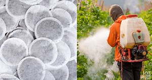 8 Popular Tea Brands Contaminated with Toxic Levels of Pesticides, Heavy Metals, and Plastics