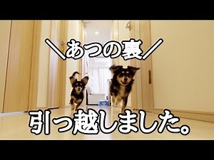 あつの裏の新しい家を紹介！！