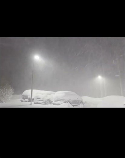 Upton, New York at the moment ❄️❄️❄️📹 NWS New York