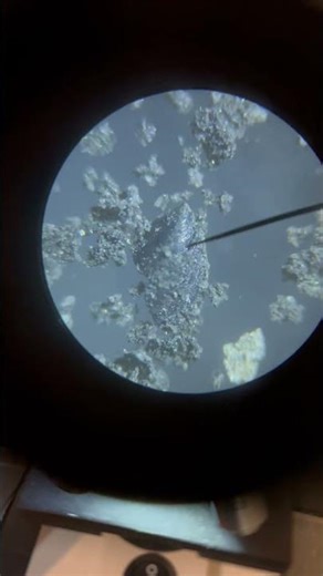 Late Cambrian microfossils from Arkansas