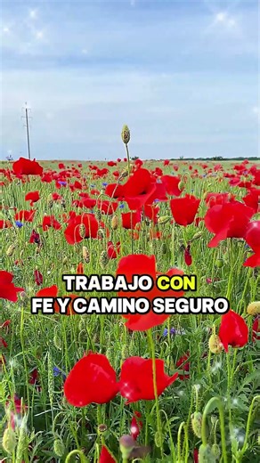 ✨ Oración de la Mañana para Empezar el Día con Fe y Fortaleza 🙏