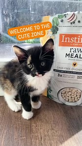 5.7K reactions · 1.1K shares | Our pets can’t choose what they eat. That’s why it’s up to us to give them food that preserves the nutrients they need. | Instinct | Facebook