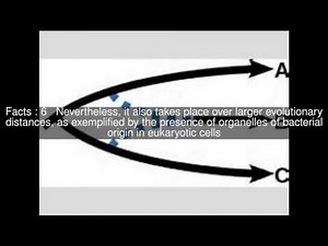 Reticulate evolution Top #11 Facts