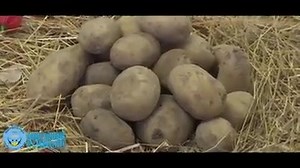 24K views · 79 shares | En images l'intervention du Président de la République, Président du Conseil Supérieur de l'Agriculture, le 27 Mai 2019 à Koulouba, lors de la 9ième session dudit conseil. | MALI KANU | Facebook