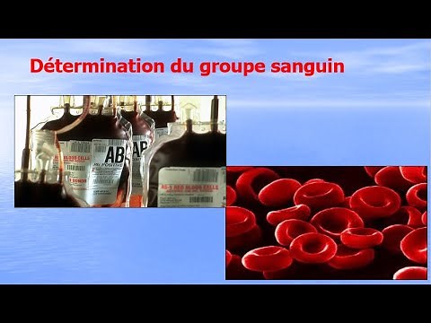 Détermination du groupe sanguin