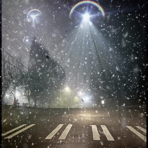 Alien Abduction 6 #g7 #fyf #ufo #alien #aliens