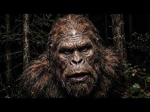 The New Clearest Non-AI Bigfoot Footage!