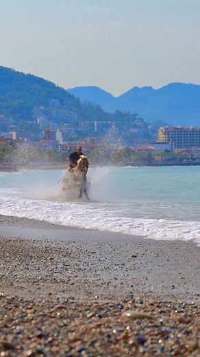 10K views · 984 reactions | Wind in my face, horse power beneath me, and the wide-open coast of Mexico stretching out like a dream you can actually ride. ⚡️ | Brandon Hanna | Facebook