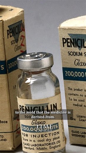 The Fascinating History of Penicillin | Amazing Time Capsule