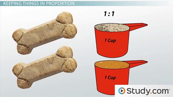 Proportion | Definition, Formula & Examples
