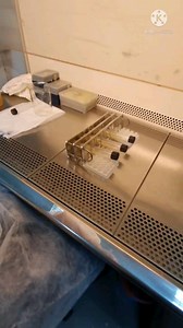 Agar Slant preparation 🧪 for long term storage of cultures & How to make Innoculation Loop 🪡 at home. [Technique]