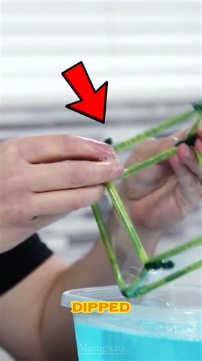 The weirdest bubble you'll see today! 🫧😨