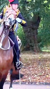 The magnificent horse riding of the female horse guard . . . . . . . . . #kingsguard #londonwalk #kingsguard #horseguardsparade #kingsguard #horseguardsparade #londonwalk #thekingsguard #kingsguard #horseguardsparade #londonwalk #horseworld #horseking #video #viralreels #like #typography #bestshot #videoediting #reelsinsta #reelsinstagram #relationshipstruggles | Ananyas