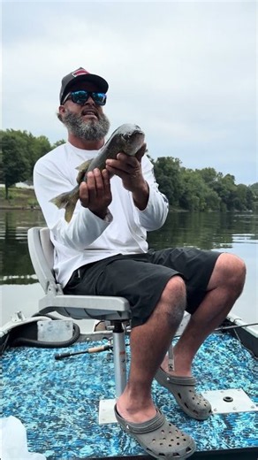 Frisky Walleye !!!