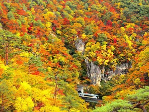 東北の紅葉名所と温泉 [温泉] All About