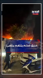 Al Jadeed News on Reels