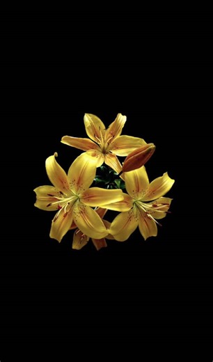 Emotional Nostalgia in Take That's 'Patience'