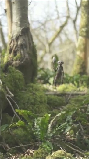 " Pixie Sighting " Watch Full Capture of Pixie's in The Woods *Must See* 02