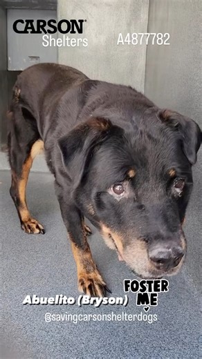 136 reactions · 128 shares |  Rescued  A4877782 ✰ ABUELITO...