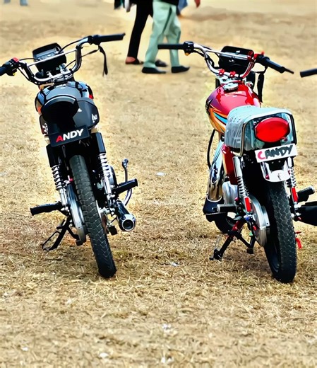 Andy and Candy: Exploring Their Unique Connection