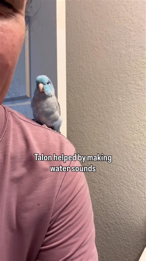 330K views · 15K reactions | I have been hoping that Talon would...