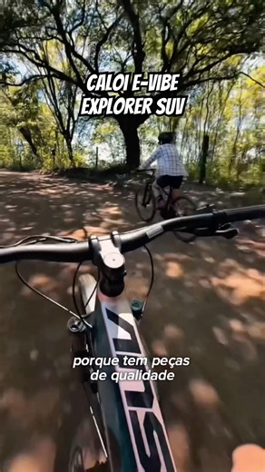 E-Vibe Explorer SUV 29-inch electric bicycle - excellent value for money, check it out!