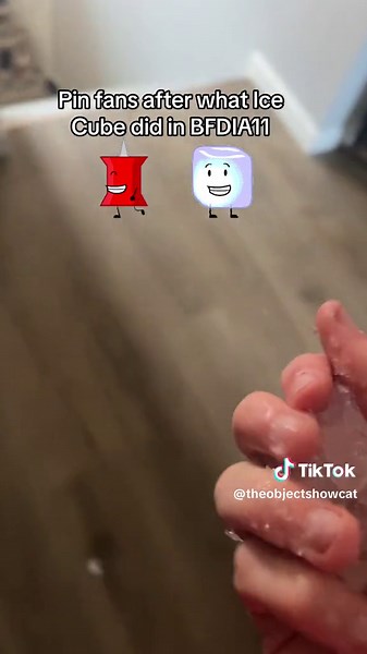 Seeking Revenge in the Object Show Community