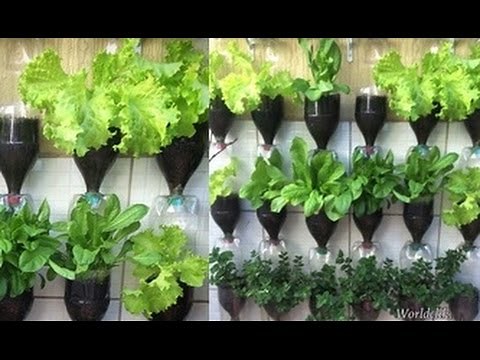 BOTTLE TOWER GARDEN