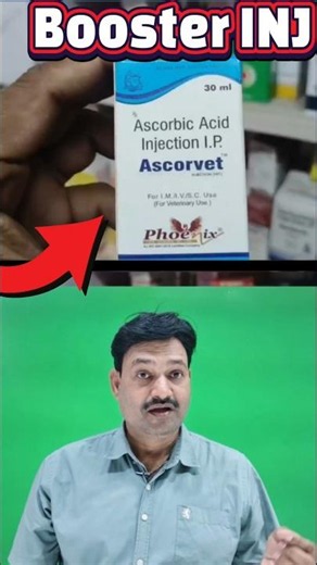 Booster INJ 👍 Ascorvet Injection Veterinary