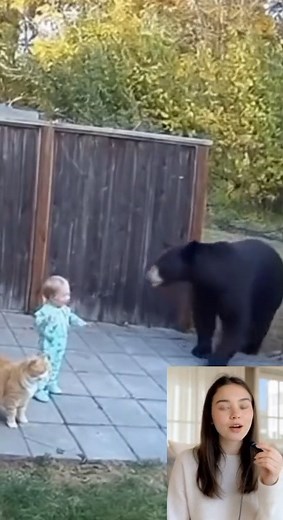 6.2K views · 41 reactions |  “Cat vs Bear! You Won’t Believe What...