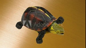 real 3d turtle background and animation, animal, crawling