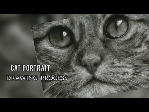 Drawing Realistic Cat |Fur Drawing Technique| How to draw a Cat Portrait