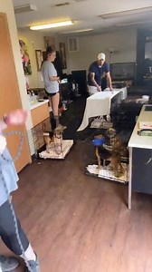 6.6K views · 37 reactions | UPDATE.. looks like motor is blown on the...