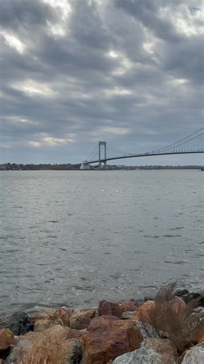 Geese by the Whitestone bridge | Kawattie Singh