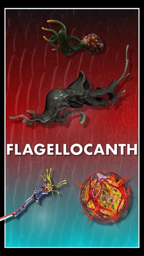 Flagellocanth - Fass/Vome Surface Fish of Cambion Drift #warframe #gaming