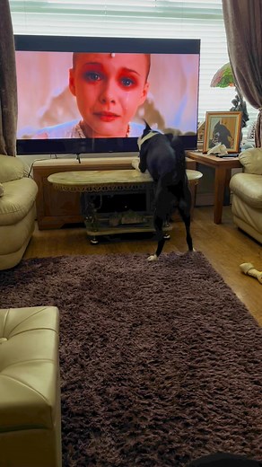 1.1K views · 143 reactions | Barney likes when Bastian calls out the name. #neverendingstory | Stephen Kelleher | Facebook