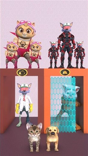 WOW. THAT'S A GREAT DANCE!#dog #cat #funny #shots