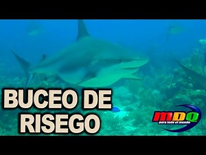 MDQ, for everyone - Program 09/20/20