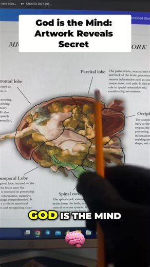 Exploring Michelangelo's Hidden Brain Symbolism in Art